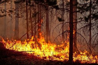 В Туве объявлено начало пожароопасного сезона